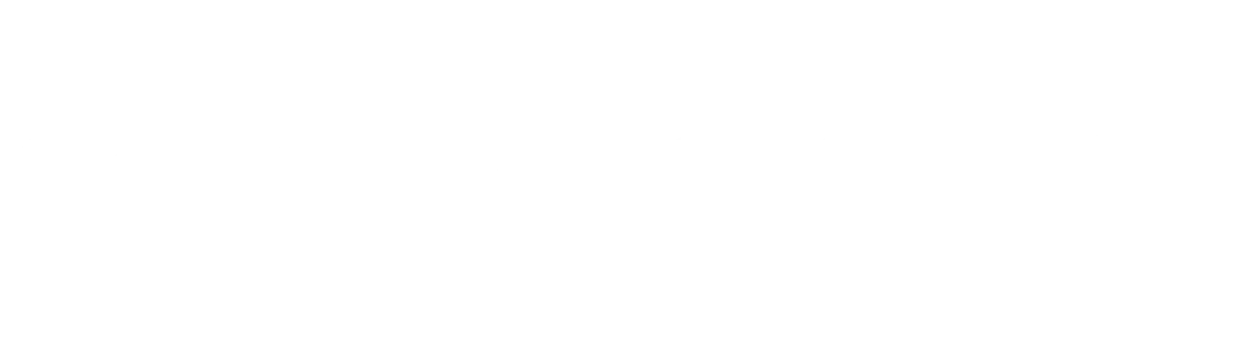 logo light